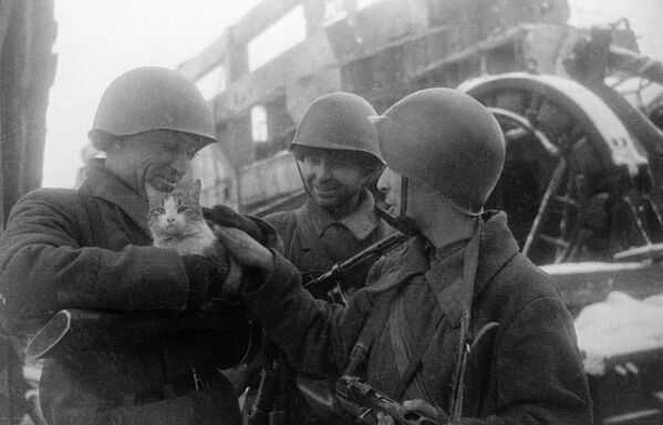 جندي من الجيش الأحمر يحمل قطة وحوله جنديان يبتسمان خلال معركة ستالينغراد. - سبوتنيك عربي