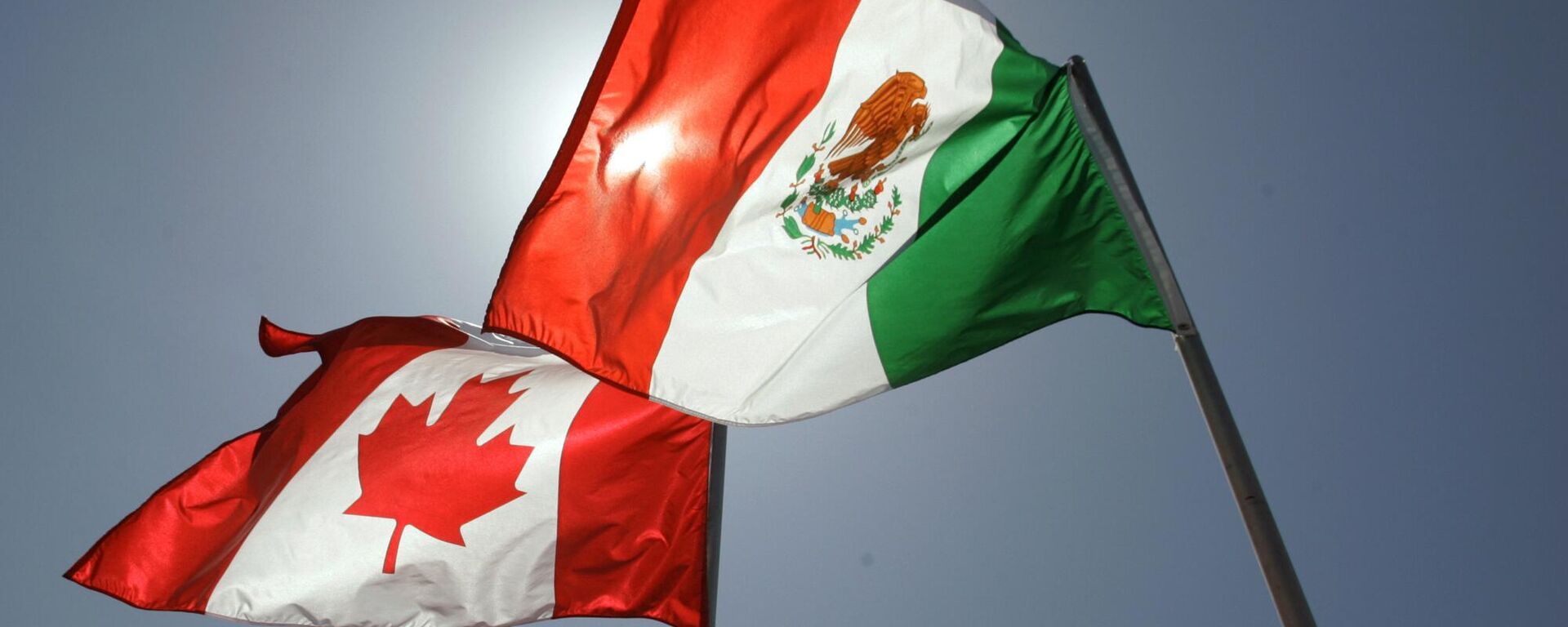 أعلام وطنية تمثل الولايات المتحدة الأمريكية وكندا والمكسيك - سبوتنيك عربي, 1920, 03.02.2025