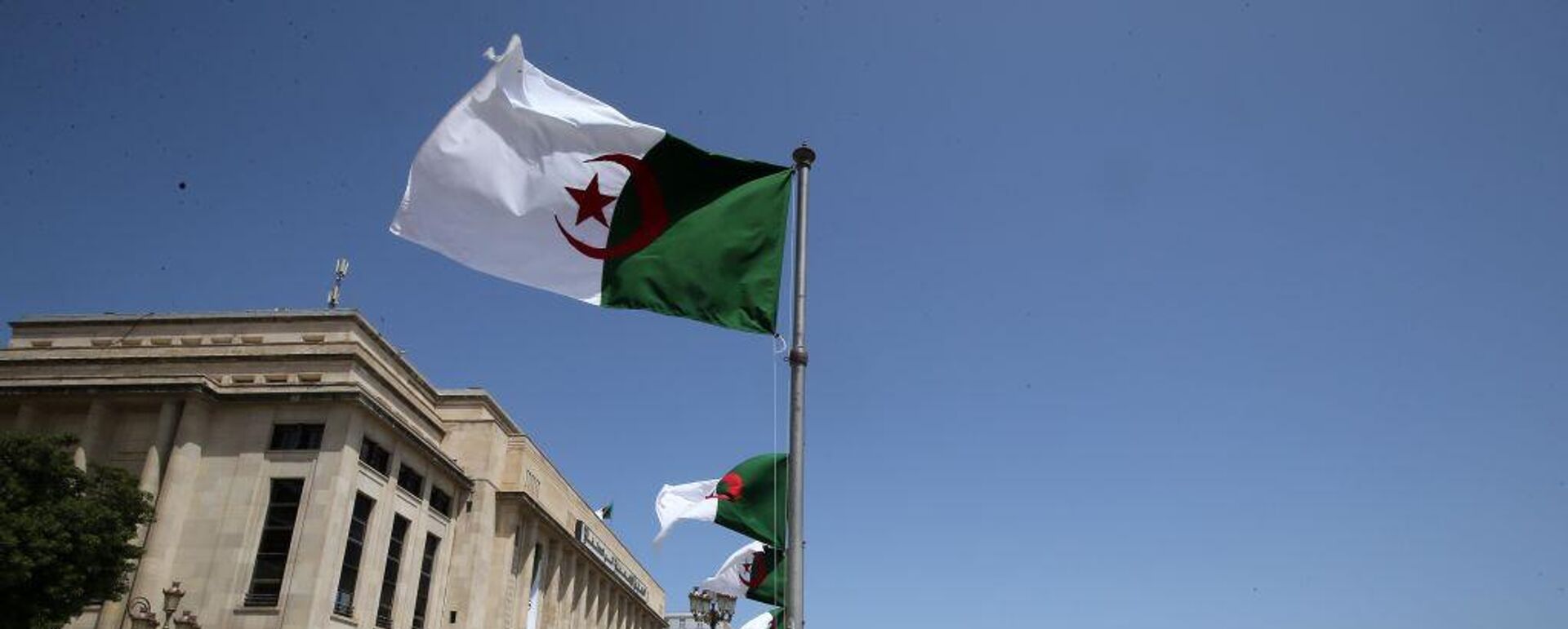 علم الجزائر - سبوتنيك عربي, 1920, 03.02.2025