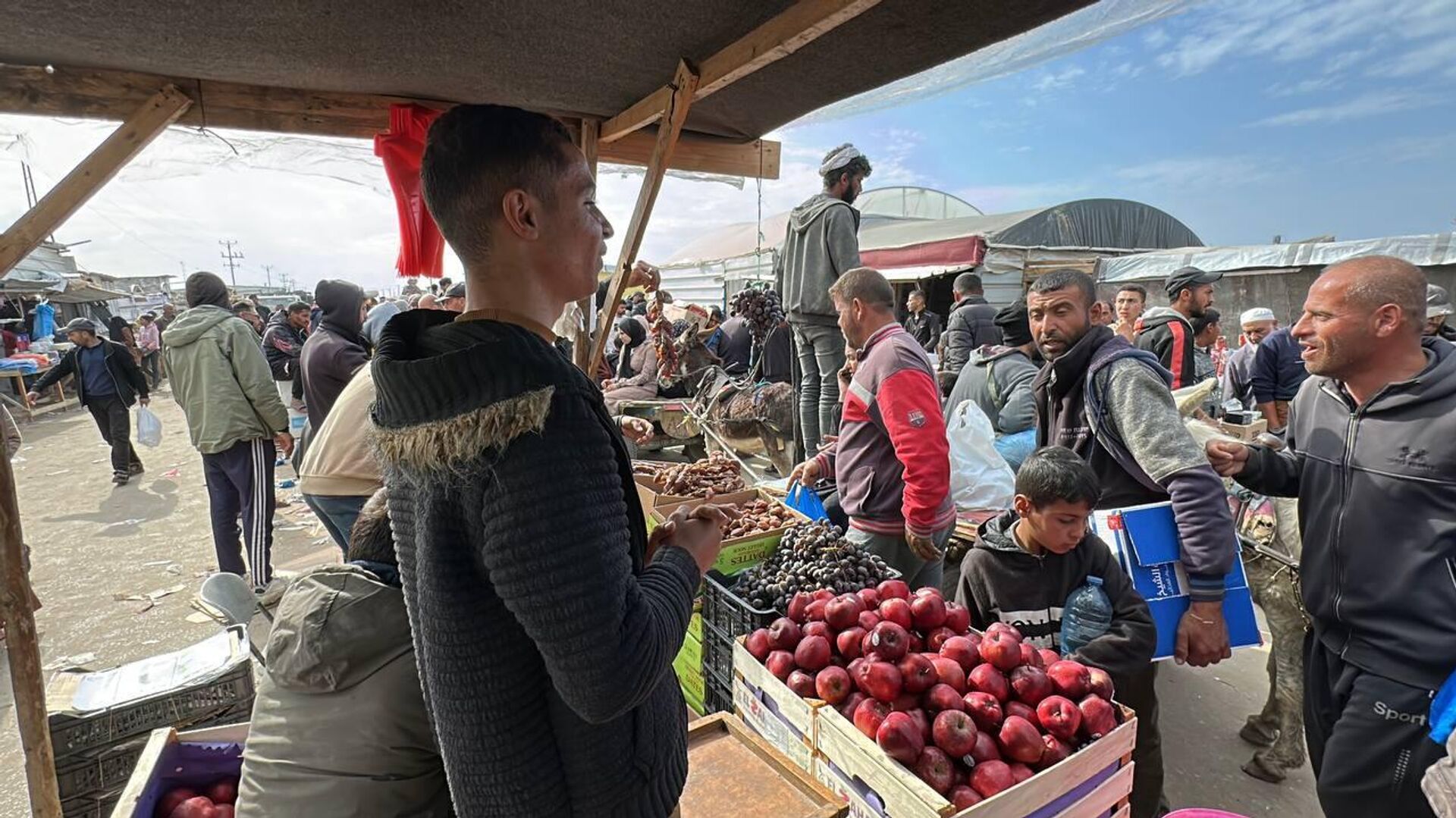 اليونيسف: المساعدات الإنسانية التي تصل قطاع غزة لا تكفي وقطرة في محيط _ بريد اليونيسف: المساعدات الإنسانية التي تصل قطاع غزة لا تكفي وقطرة في محيط _ بريد - سبوتنيك عربي, 1920, 04.02.2025