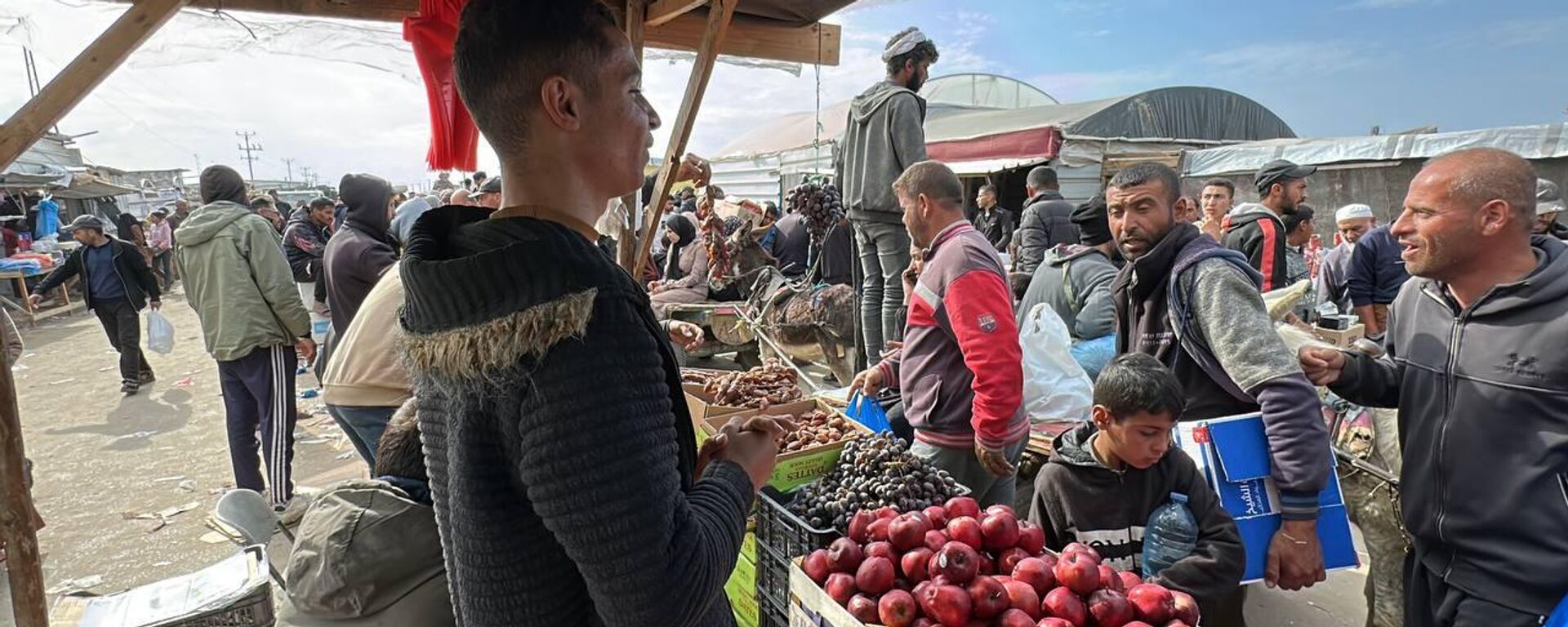 اليونيسف: المساعدات الإنسانية التي تصل قطاع غزة لا تكفي وقطرة في محيط _ بريد - سبوتنيك عربي, 1920, 06.02.2025