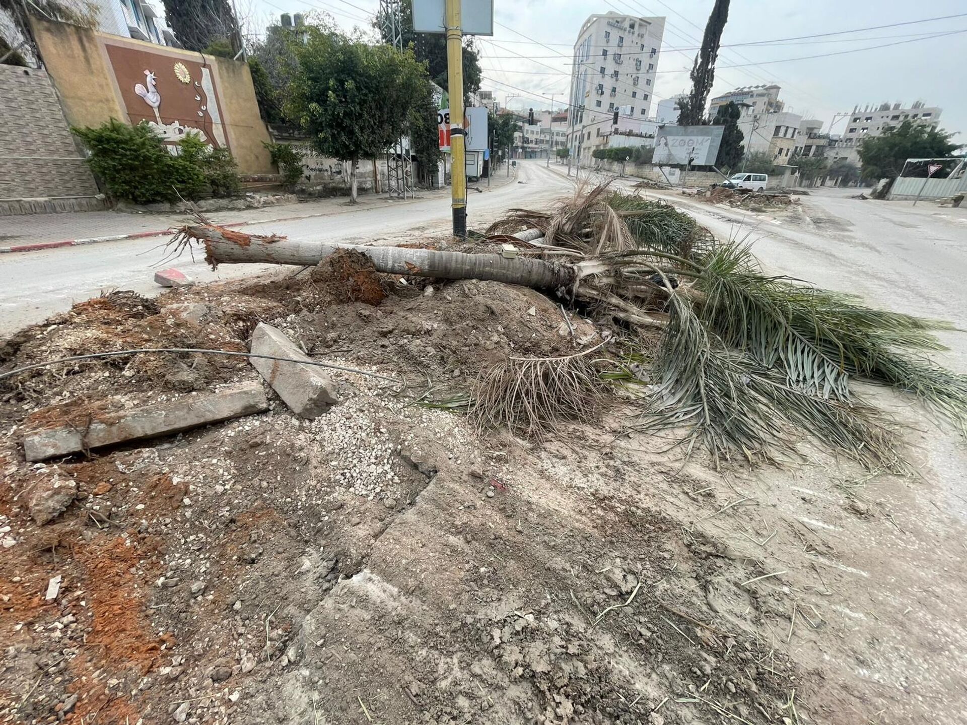 الجيش الإسرائيلي يوسع عملياته العسكرية شمال الضفة الغربية ويتسبب في تهجير 5 آلاف عائلة - سبوتنيك عربي, 1920, 05.02.2025