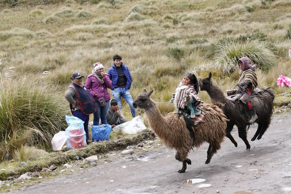 يتنافس الأطفال في سباقات اللاما السنوية التي تحتفل بـ &quot;يوم الأراضي الرطبة العالمي&quot;، في منتزه لانجاناتيس الوطني في الإكوادور.  - سبوتنيك عربي