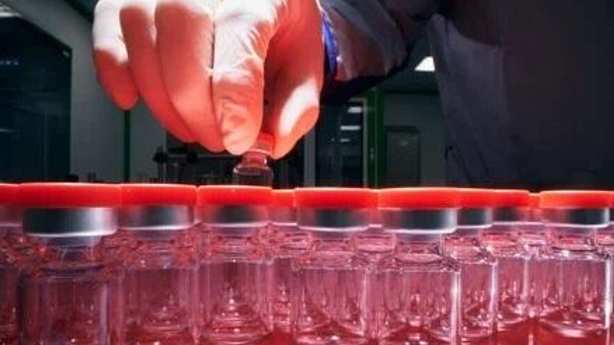 منتجو موسكو يرفعون صادراتهم إلى شمال أفريقيا بنسبة تفوق 16%