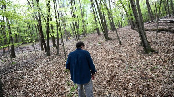 أعراض الإصابة بالزهايمر - سبوتنيك عربي