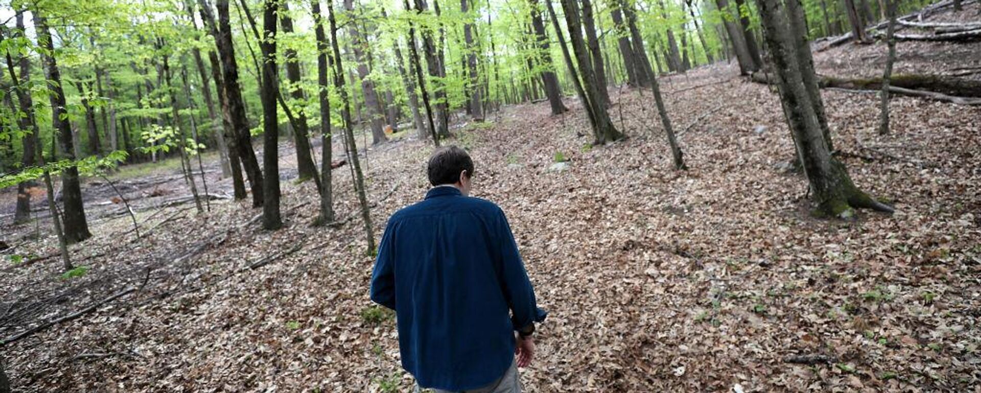 أعراض الإصابة بالزهايمر - سبوتنيك عربي, 1920, 09.02.2025