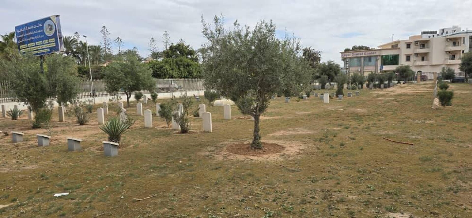 مقابر عسكرية لجنود الحلفاء والمحور في الحرب العالمية الثانية، مدينة طبرق الليبية - سبوتنيك عربي, 1920, 10.02.2025