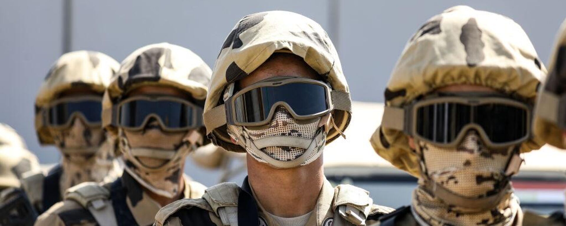 الجيش المصري - سبوتنيك عربي, 1920, 12.02.2025