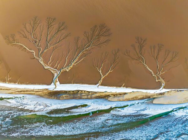 منظر جوي للأشجار العملاقة على نهر "تشيانتانغ" المتجمد أثناء شروق الشمس، بعد انحسار المد في هانغتشو، مقاطعة تشجيانغ في الصين - سبوتنيك عربي