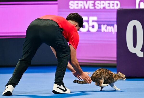 لقطة جميلة لقطة تجري في الملعب خلال مباراة بكرة المضرب بين التونسية أُنس جابر، والأمريكية صوفيا كينين، في بطولة قطر توتال إنيرجيز المفتوحة للتنس 2025. - سبوتنيك عربي