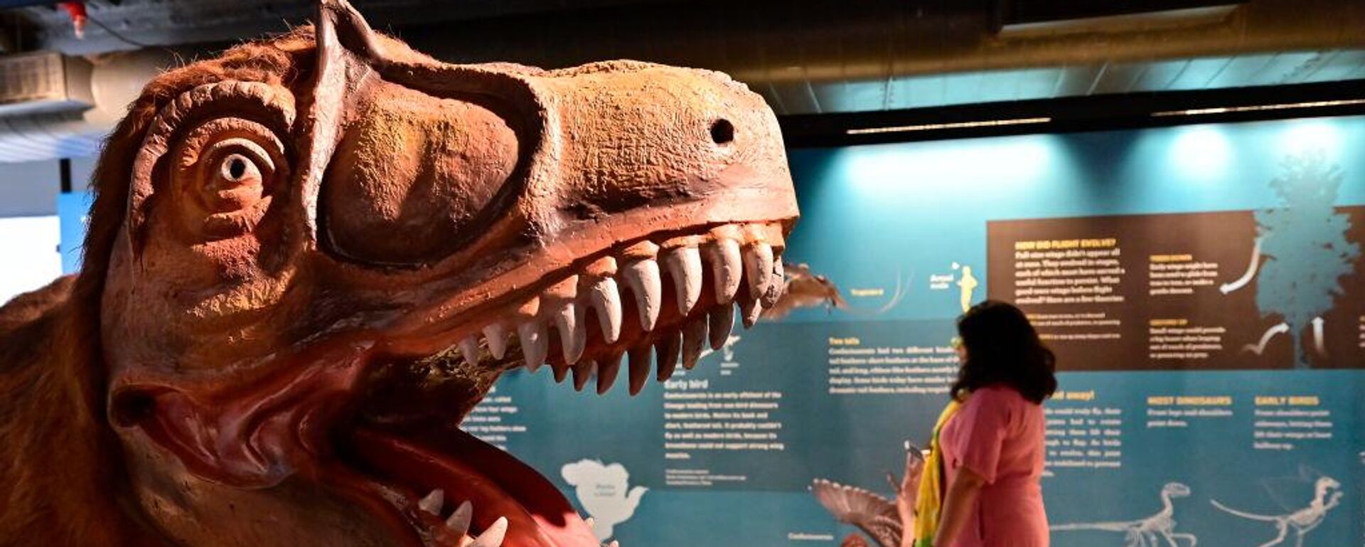 أسنان ديناصور - سبوتنيك عربي, 1920, 15.02.2025