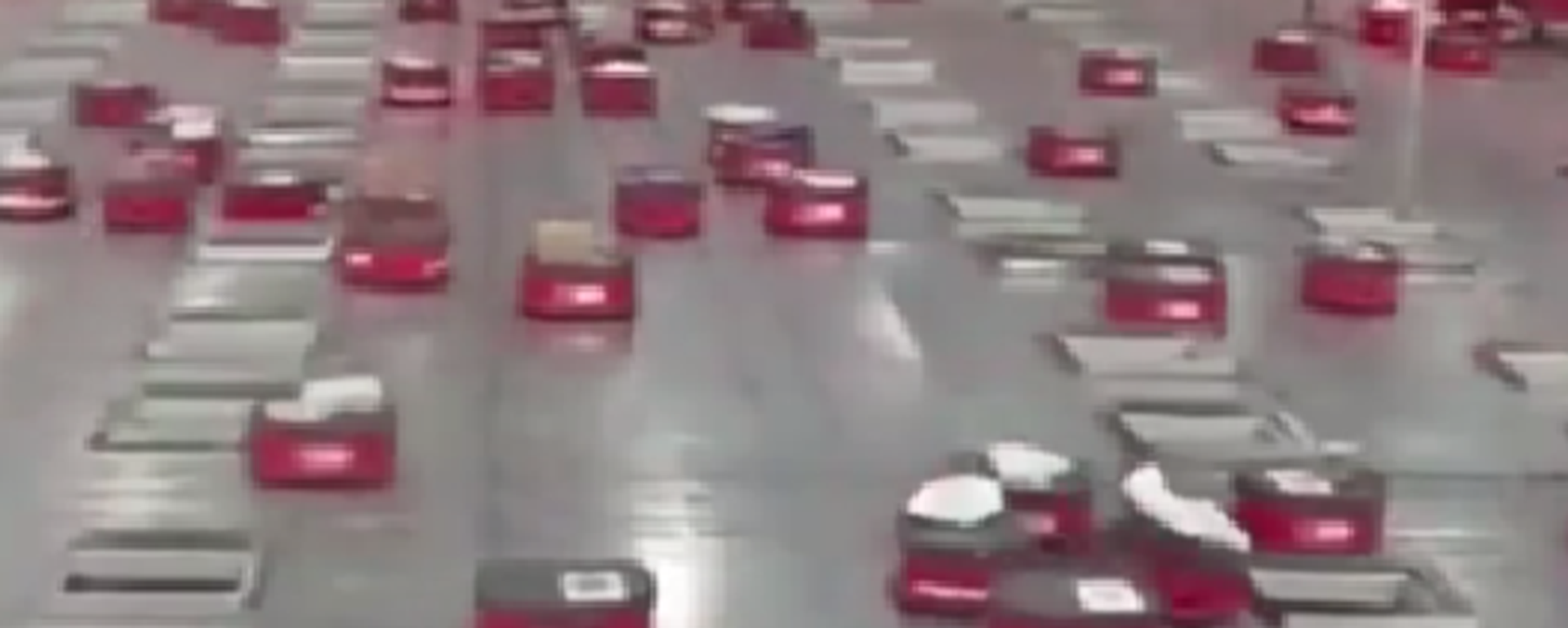 روبوتات متطورة لفرز البضائع والصناديق في الصين روبوتات متطورة لفرز البضائع والصناديق في الصين - سبوتنيك عربي, 1920, 17.02.2025