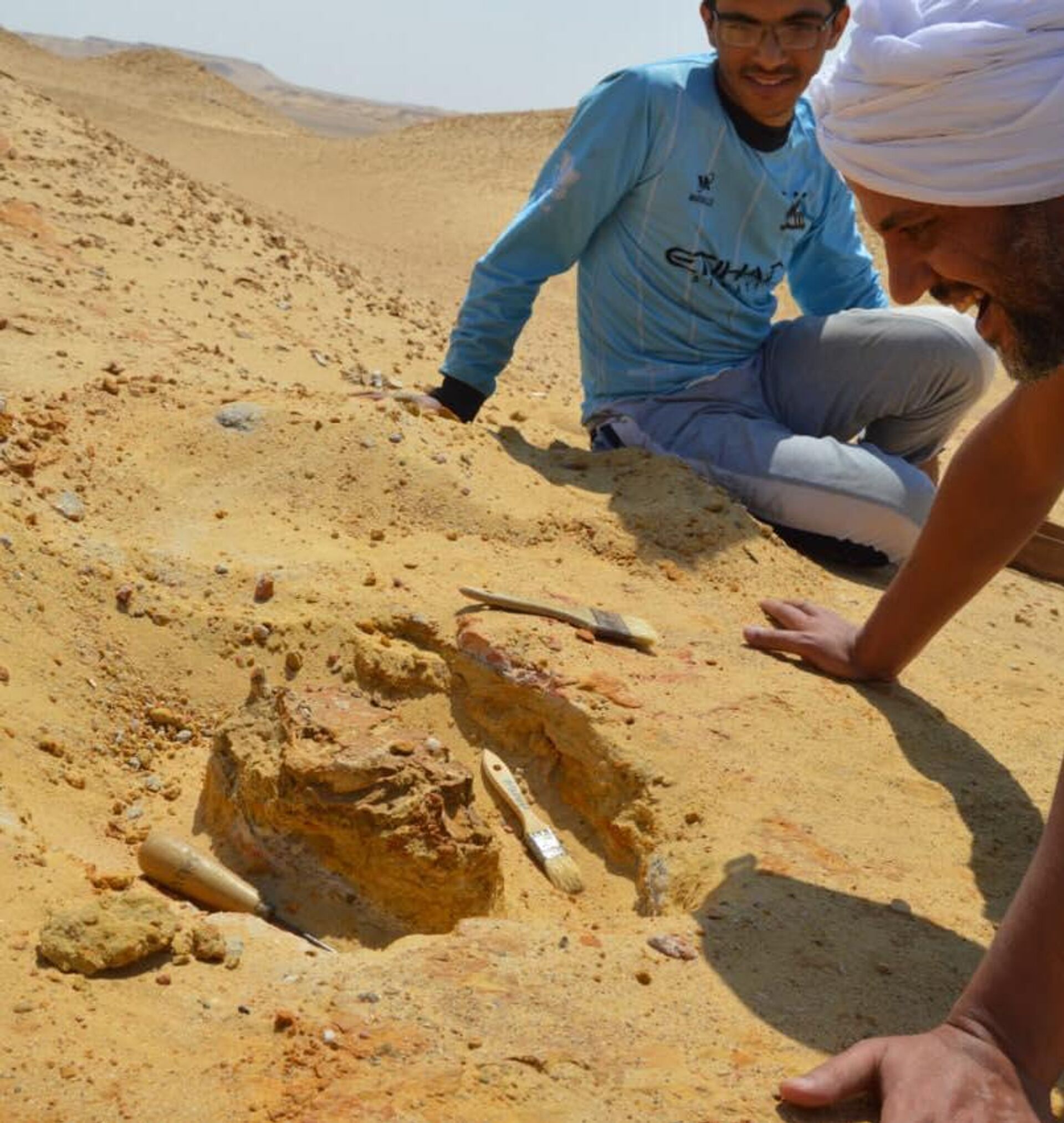 اكتشاف ثدييات مفترسة في مصر تصنف ضمن الكائنات التي كانت تسيطر على الأرض في عصور ما قبل التاريخ - سبوتنيك عربي, 1920, 17.02.2025