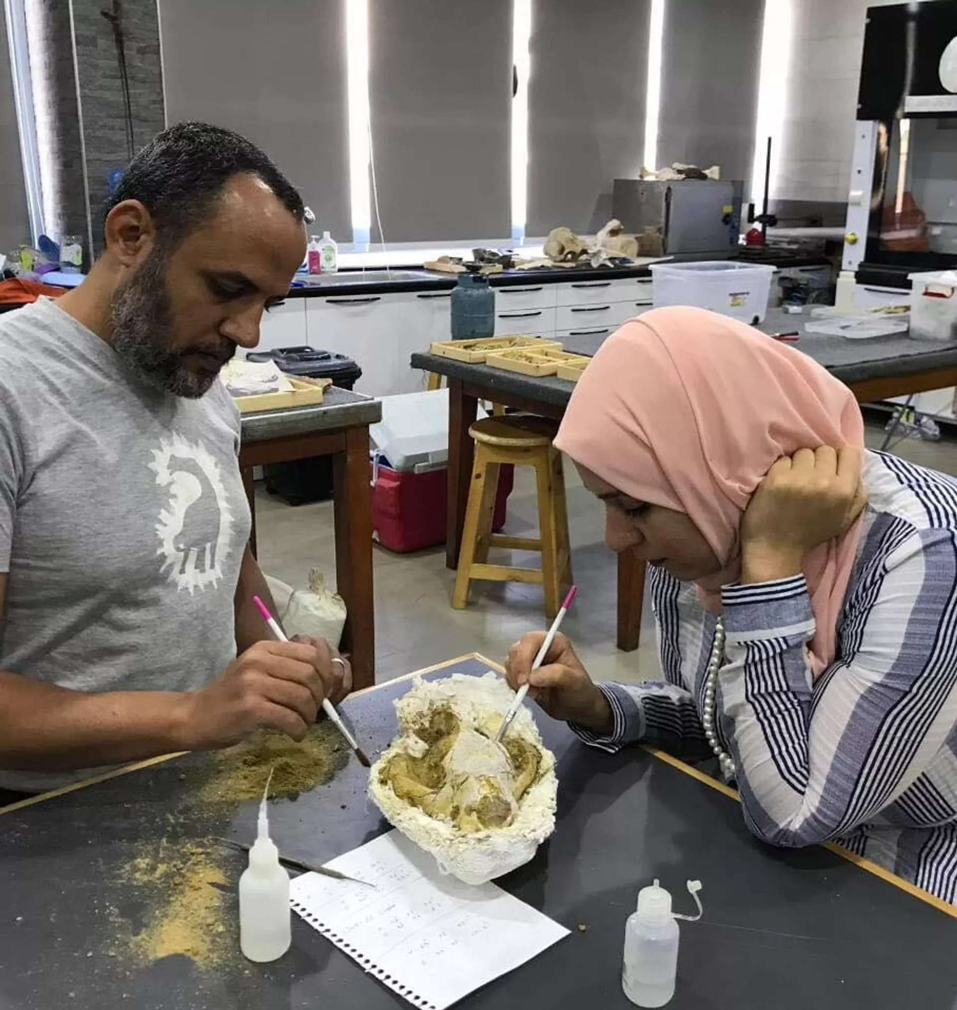 اكتشاف ثدييات مفترسة في مصر تصنف ضمن الكائنات التي كانت تسيطر على الأرض في عصور ما قبل التاريخ - سبوتنيك عربي, 1920, 17.02.2025