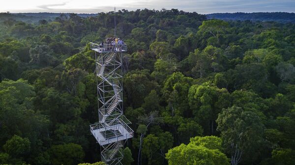برج المراقبة عند شروق الشمس في غابات الأمازون المطيرة، البرازيل - سبوتنيك عربي