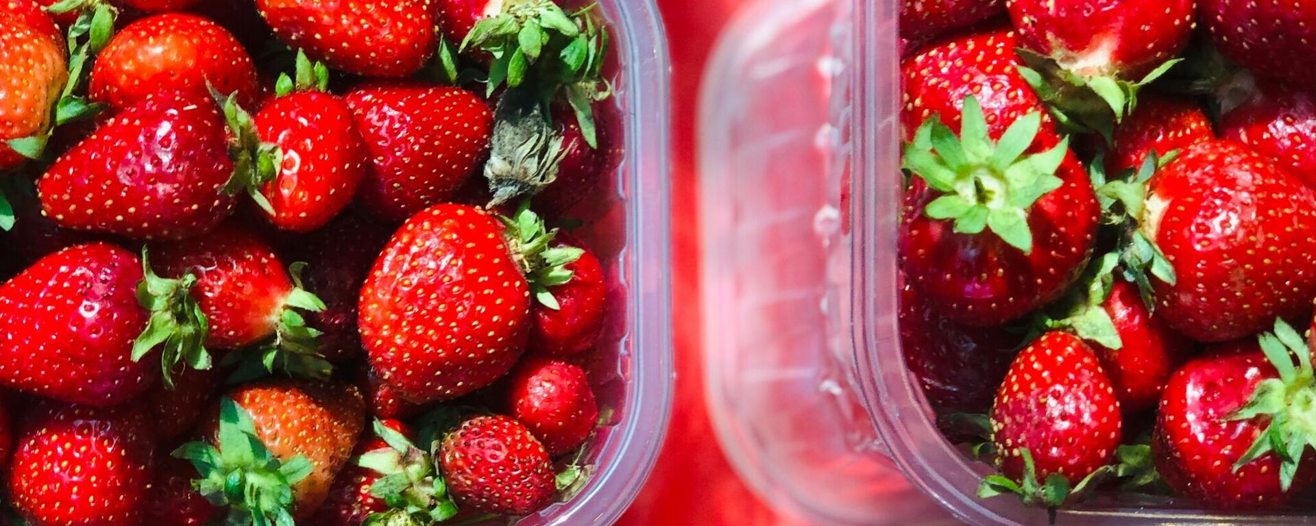 صورة لعلبة بلاستيكية  - سبوتنيك عربي, 1920, 20.02.2025