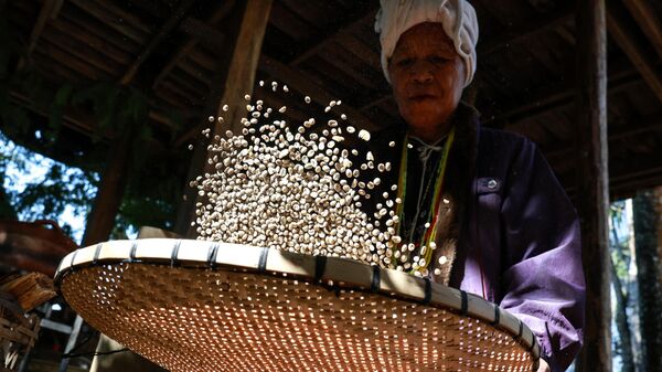 Каренские фермеры обжаривают кофейные зерна в Дойинтаноне в Чиангмае, Таиланд - سبوتنيك عربي