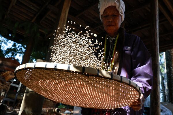 امرأة تايلاندية تعمل على تجفيف حبوب البن في دوي إنثانون، شيانغ ماي، تايلاند. - سبوتنيك عربي