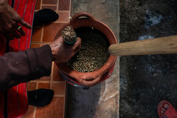 جانب عملية تحضير حبوب البن العربي في تايلند. - سبوتنيك عربي