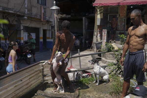 صورة لرجل مع كلبه في حمام عام خلال فصل الصيف في حي روسينها الفقير في ريو دي جانيرو، البرازيل. - سبوتنيك عربي
