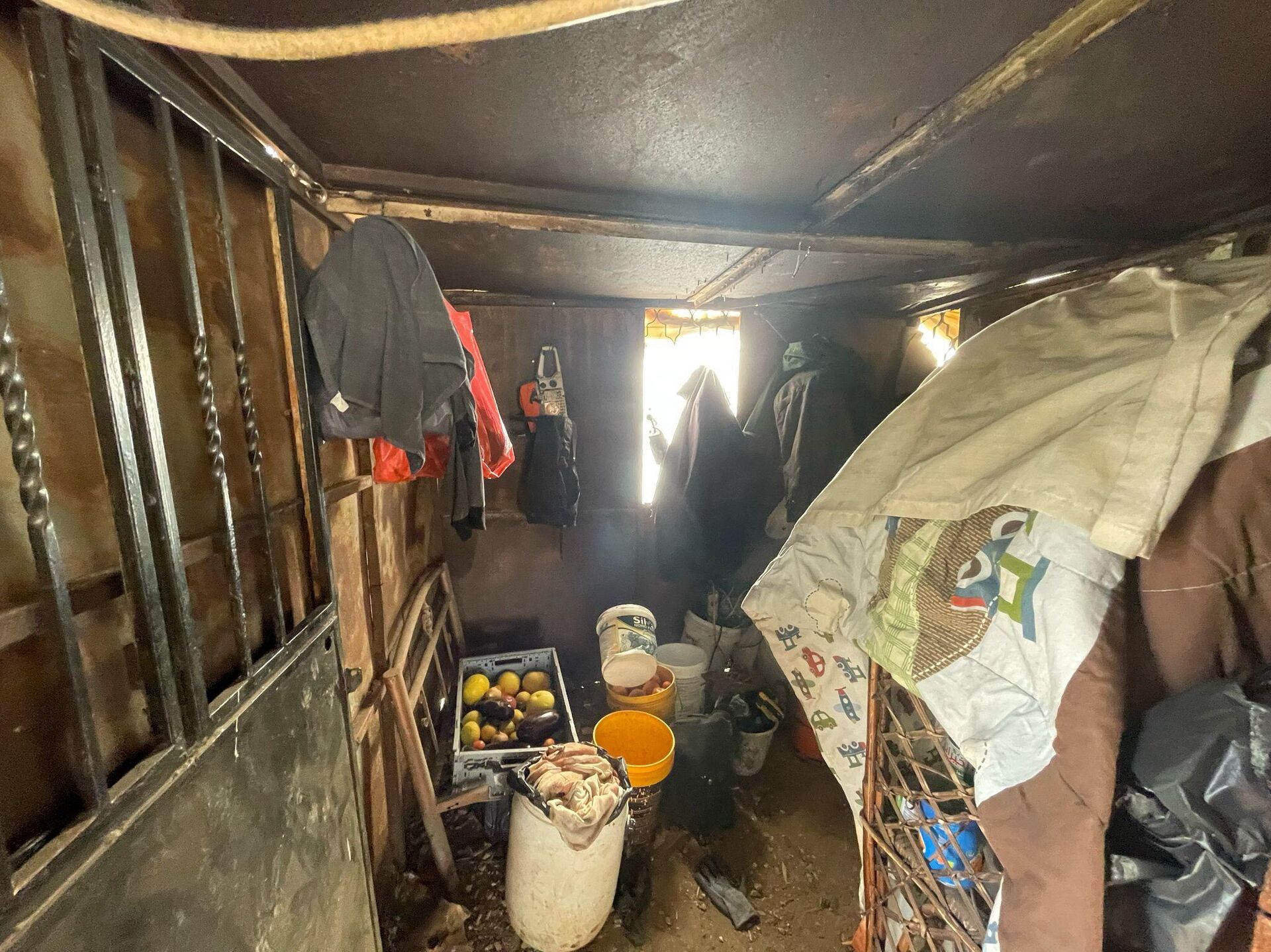 عائلات فلسطينية تعيش في خيمة واحدة بعد نزوحها من مخيم طولكرم شمال الضفة الغربية
عائلات فلسطينية تعيش في خيمة واحدة بعد نزوحها من مخيم طولكرم شمال الضفة الغربية
- سبوتنيك عربي, 1920, 20.02.2025