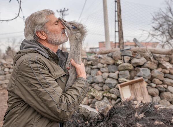 لقطة طريفة لرجل يداعب نعامة في منطقة سور في ديار بكر، تركيا. - سبوتنيك عربي