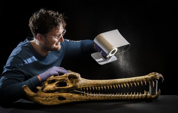 طالب في مركز التشريح التكاملي بجامعة كوليدج لندن، يجري مسحًا ثلاثي الأبعاد عالي التقنية لجمجمة "غاريال" (هو تمساح مهدد بالانقراض) في مركز ليدز ديسكفري. - سبوتنيك عربي