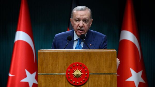 الرئيس التركي رجب طيب أردوغان - سبوتنيك عربي