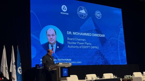 الدكتور محمد دويدار، رئيس مجلس إدارة هيئة المحطات النووية لتوليد الكهرباء في مصر - سبوتنيك عربي