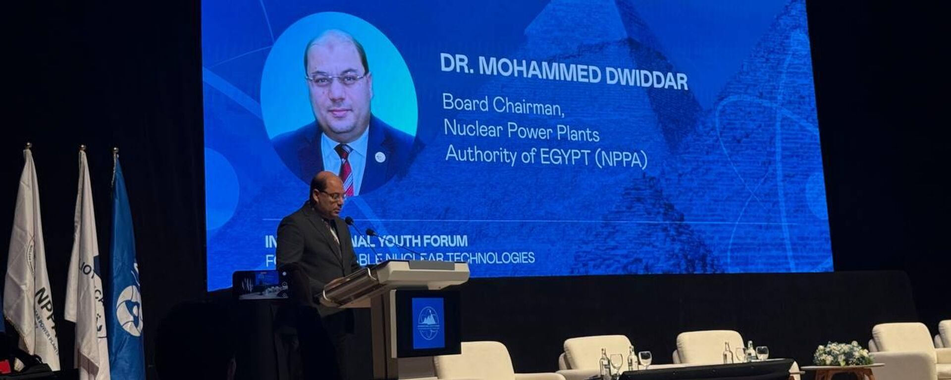 الدكتور محمد دويدار، رئيس مجلس إدارة هيئة المحطات النووية لتوليد الكهرباء في مصر - سبوتنيك عربي, 1920, 26.02.2025