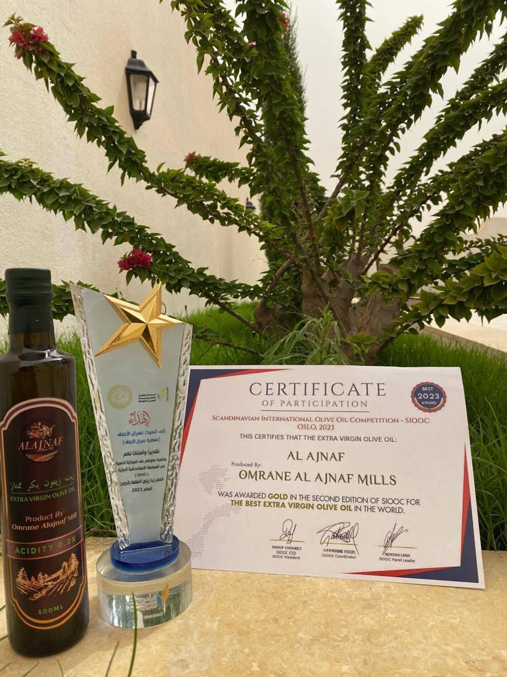 الذهب السائل الليبي يتألق عالميا.. معاصر الأجنف تحصد الميداليات في جودة زيت الزيتون  - سبوتنيك عربي, 1920, 26.02.2025