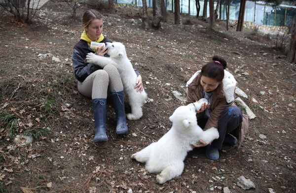موظفو حديقة حيوان يقومون بإطعام صغار الدب القطبي بالزجاجة. - سبوتنيك عربي