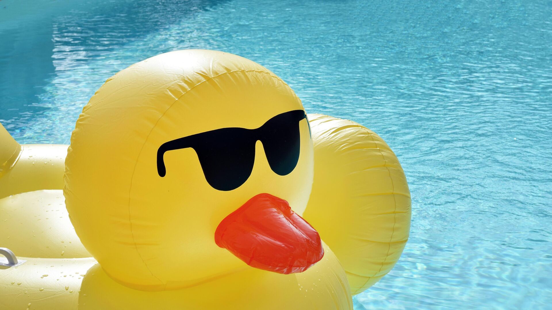 ديدان بحرية ديدان بحرية - سبوتنيك عربي, 1920, 27.02.2025