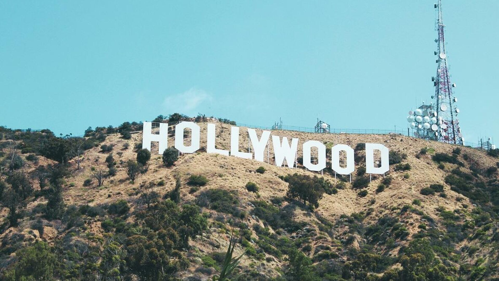 علامة هوليوود الشهيرة في ولاية كاليفورنيا الأمريكية علامة هوليوود الشهيرة في ولاية كاليفورنيا الأمريكية - سبوتنيك عربي, 1920, 27.02.2025