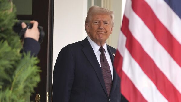 الرئيس الأمريكي دونالد ترامب - سبوتنيك عربي
