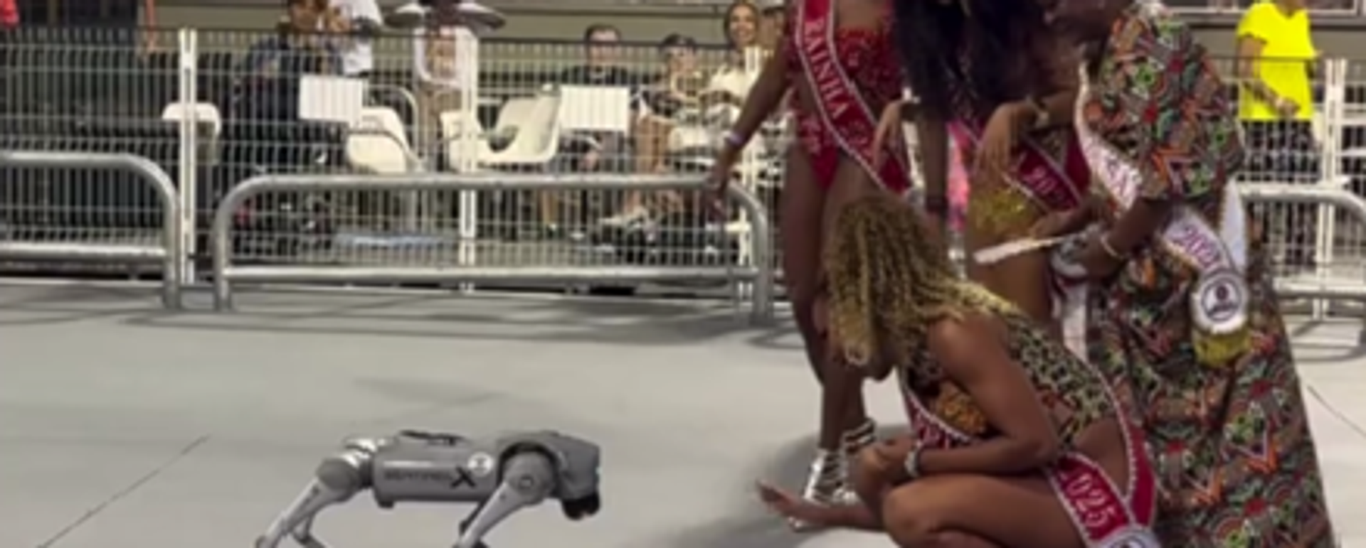 صورة لكلب روبوت خلال كرنفالات ساو باولو في البرازيل.
 - سبوتنيك عربي, 1920, 02.03.2025