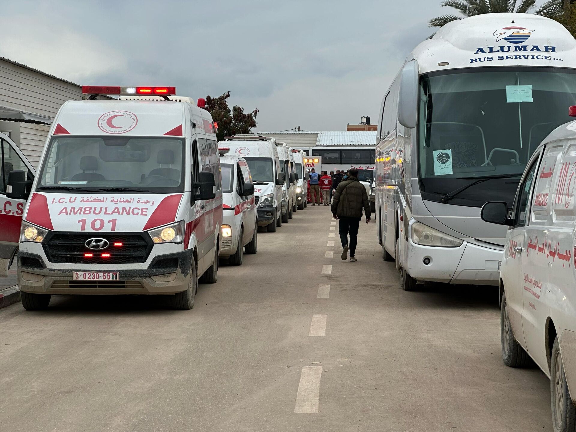 مرضى وجرحى غزة بين دموع الفراق والأمل في العلاج خارج القطاع
مرضى وجرحى غزة بين دموع الفراق والأمل في العلاج خارج القطاع
- سبوتنيك عربي, 1920, 05.03.2025