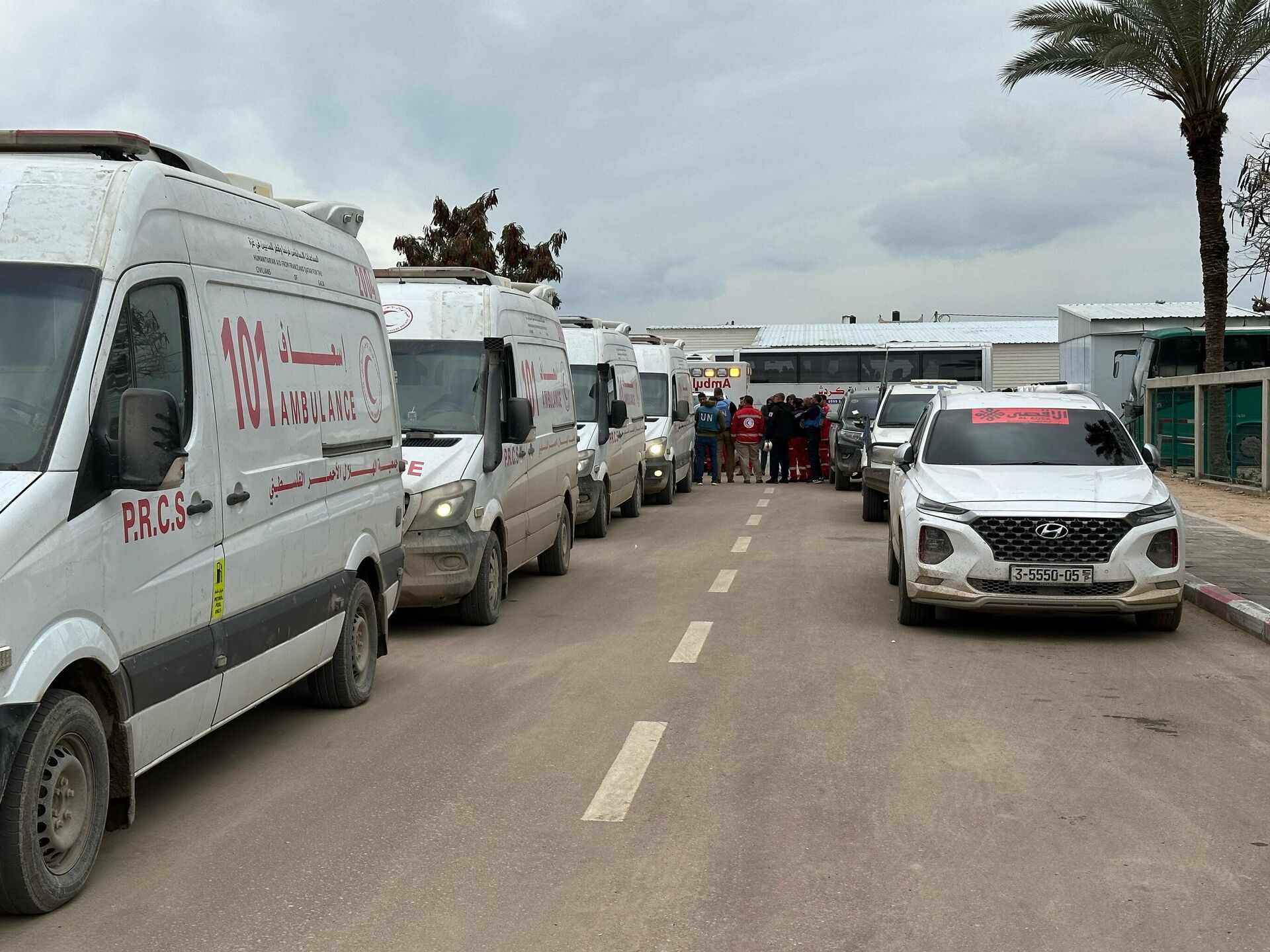 مرضى وجرحى غزة بين دموع الفراق والأمل في العلاج خارج القطاع
مرضى وجرحى غزة بين دموع الفراق والأمل في العلاج خارج القطاع
- سبوتنيك عربي, 1920, 05.03.2025