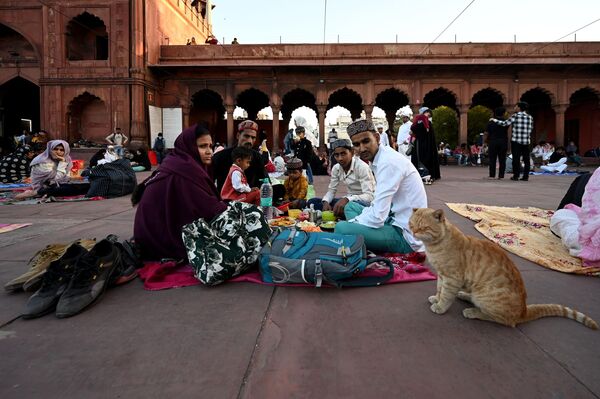 تجمع الناس في مسجد جامع الشهير في دلهي لتناول الإفطار في أول رمضان من الشهر الكريم، في 2 مارس 2025 في نيودلهي، الهند. - سبوتنيك عربي