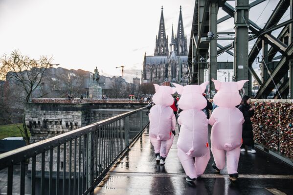 يظهر في الصورة مجموعة من الناس مرتدين ملابس الخنازير في بداية احتفالات لكرنفال في مدينة كولونيا بألمانيا - سبوتنيك عربي