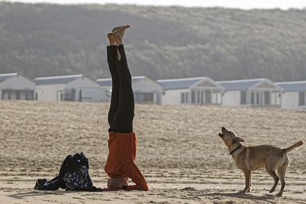 كلب ينبح على سيده أثناء ممارستها لليوغا في يوم مشمس على الشاطئ في مدينة كاتفيك بهولندا - سبوتنيك عربي