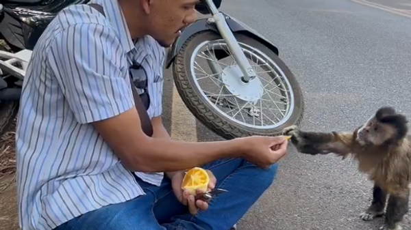  - سبوتنيك عربي