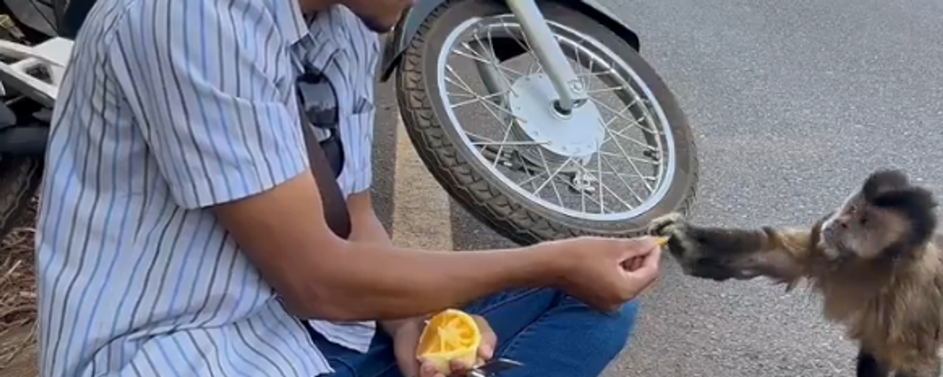 صداقة غير متوقعة بين شاب وقرد  - سبوتنيك عربي, 1920, 10.03.2025