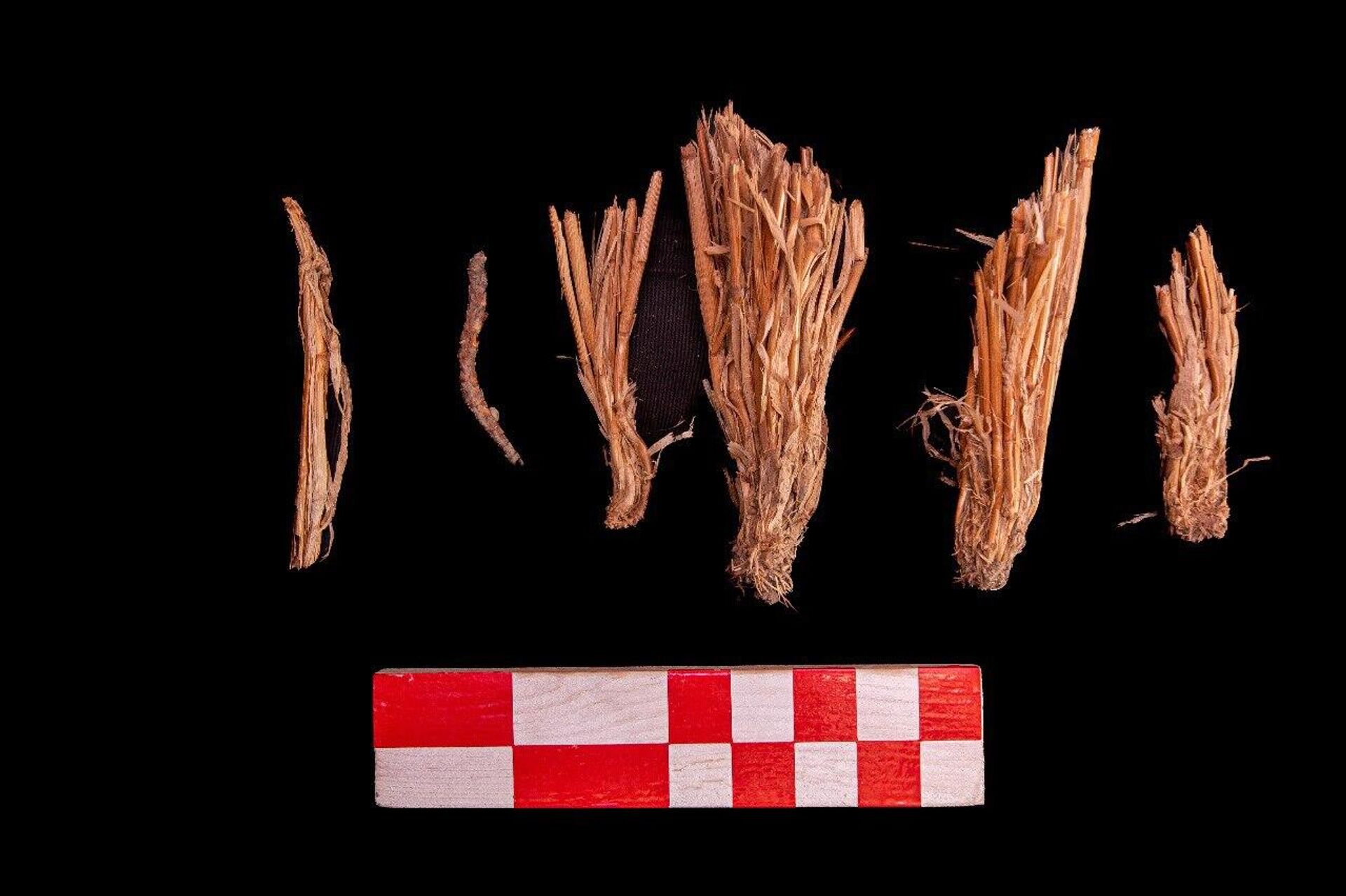 اكتشاف مقبرة ملكية وورشة لصناعة الفخار أثرية في جنوب مصر - سبوتنيك عربي, 1920, 14.03.2025