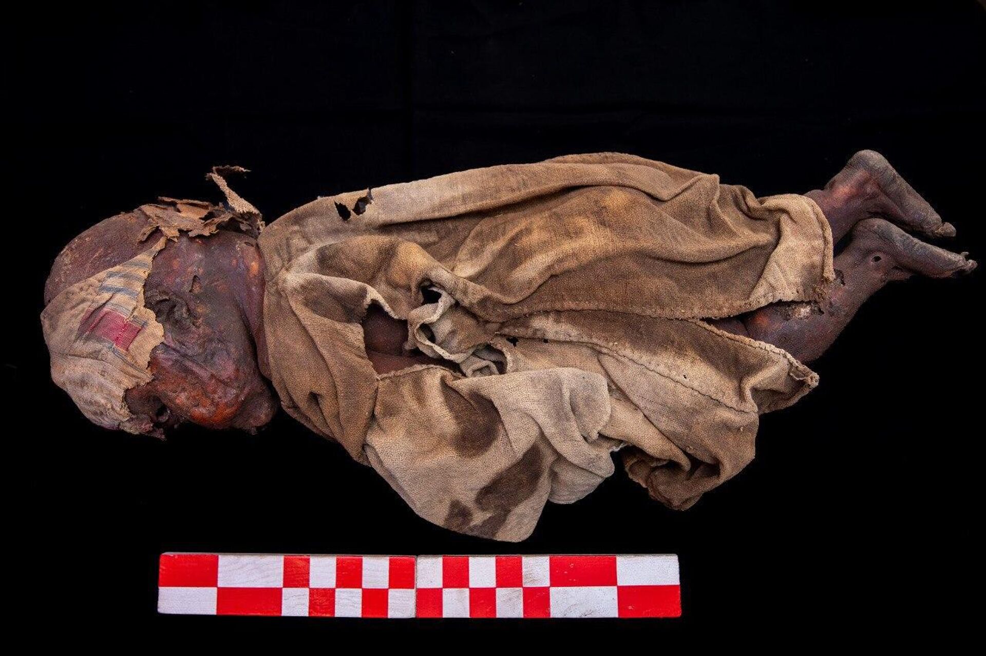 اكتشاف مقبرة ملكية وورشة لصناعة الفخار أثرية في جنوب مصر - سبوتنيك عربي, 1920, 14.03.2025