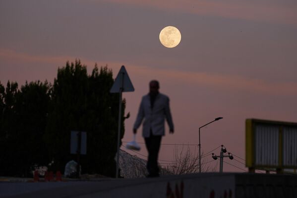 يظهر القمر مكتملًا في المساء فوق دهوك، العراق، في 13 مارس 2025. - سبوتنيك عربي