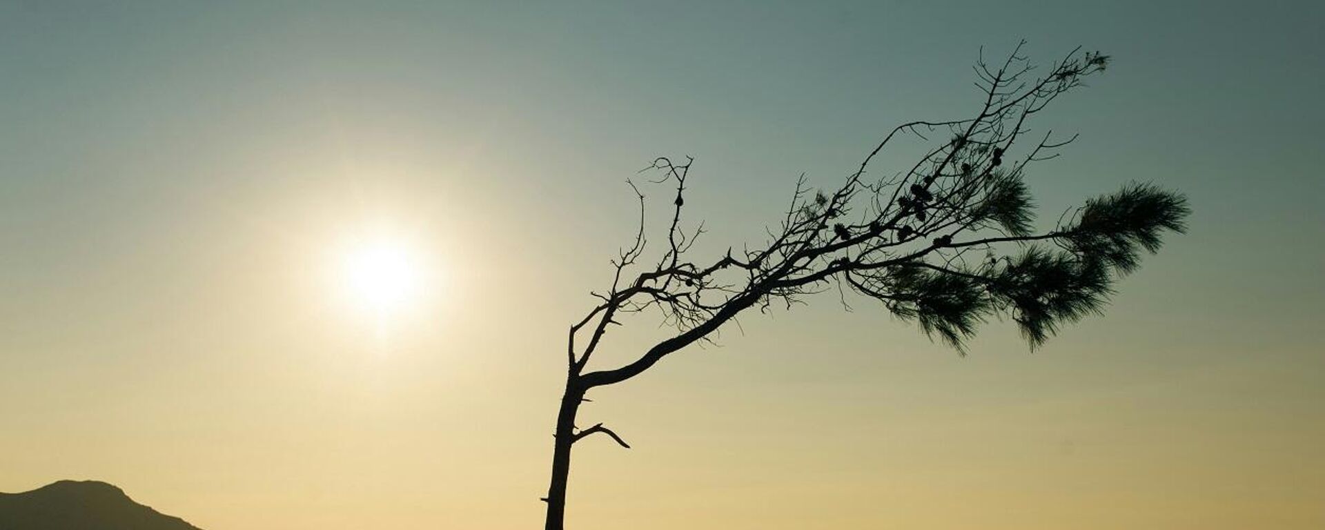 طقس حار - سبوتنيك عربي, 1920, 17.03.2025