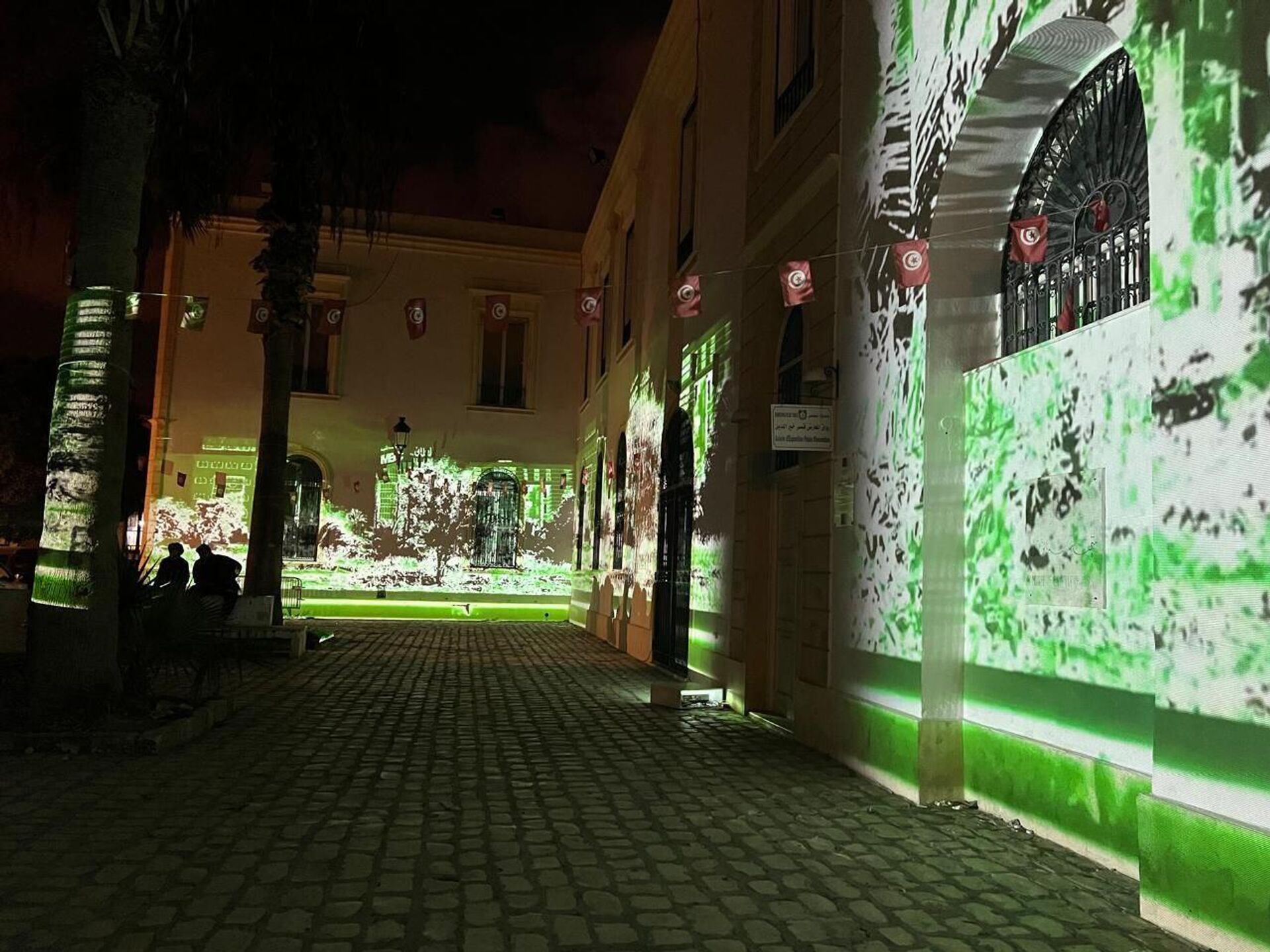 المدينة العتيقة بتونس تتحول إلى مسرح مفتوح للضوء والفن المدينة العتيقة بتونس تتحول إلى مسرح مفتوح للضوء والفن - سبوتنيك عربي, 1920, 18.03.2025