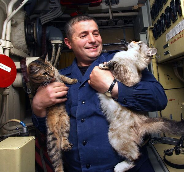 القطط هي الحيوانات المفضلة لدى طاقم طراد الغواصة الصاروخي الاستراتيجي (RPK SN). - سبوتنيك عربي