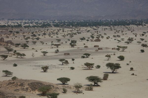 علماء روس في الـ&quot;أنثروبولوجيا&quot; يكتشفون مقابر لـ&quot;عبادة الماشية&quot; يعود تاريخها إلى 6000 عام في السودان - سبوتنيك عربي